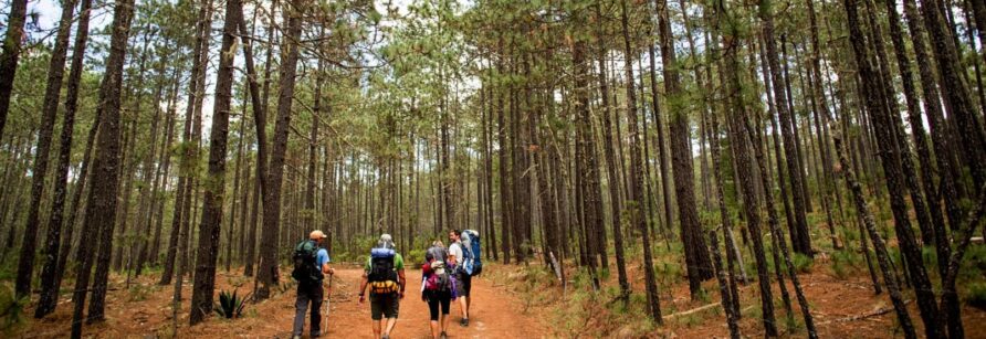 Ecoturismo y Aventura en Oaxaca