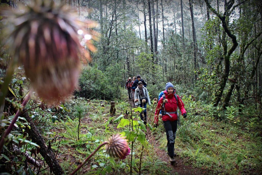 Ecoturismo en Oaxaca